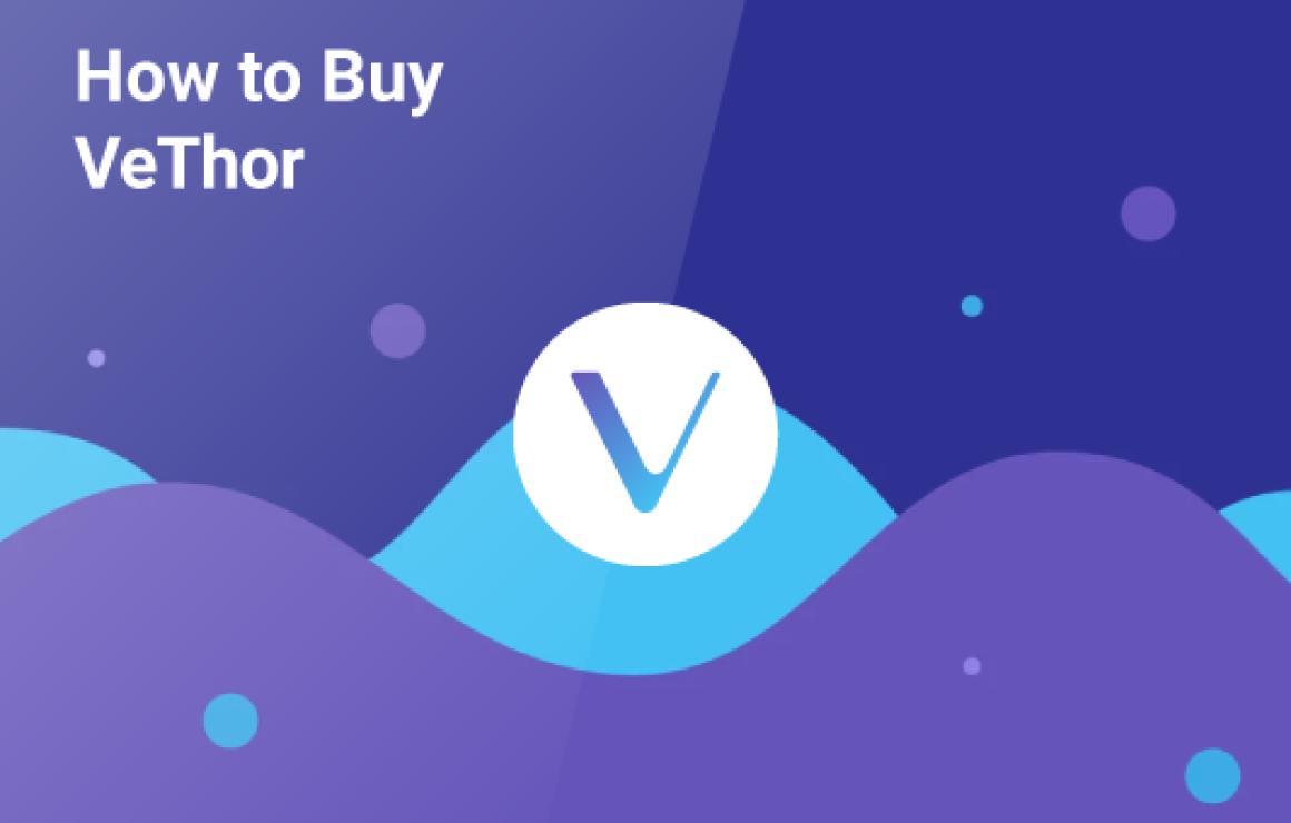 What is VeThor Token (VTHO)?
V