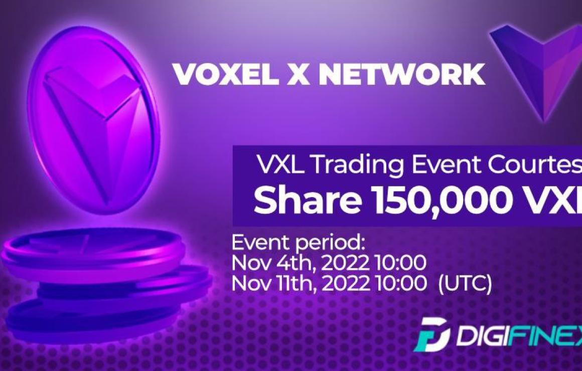 What is Voxel X Network (VXL)?