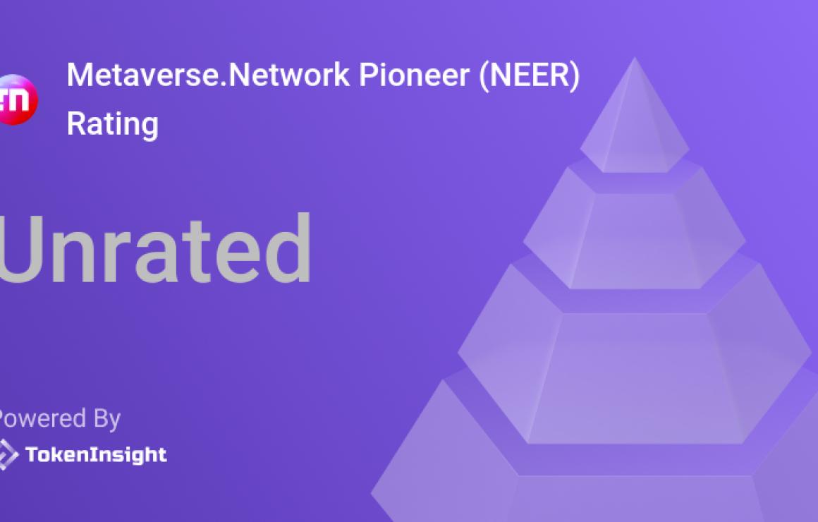 Metaverse.Network Pioneer (NEE