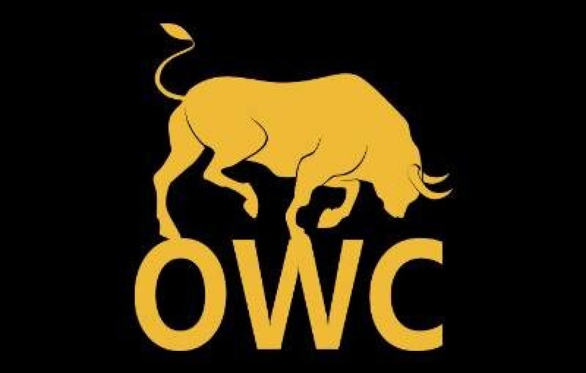 What is Oduwacoin (OWC)?
Oduwa