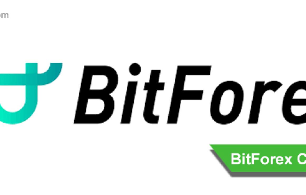 BitForex customer care.
If you