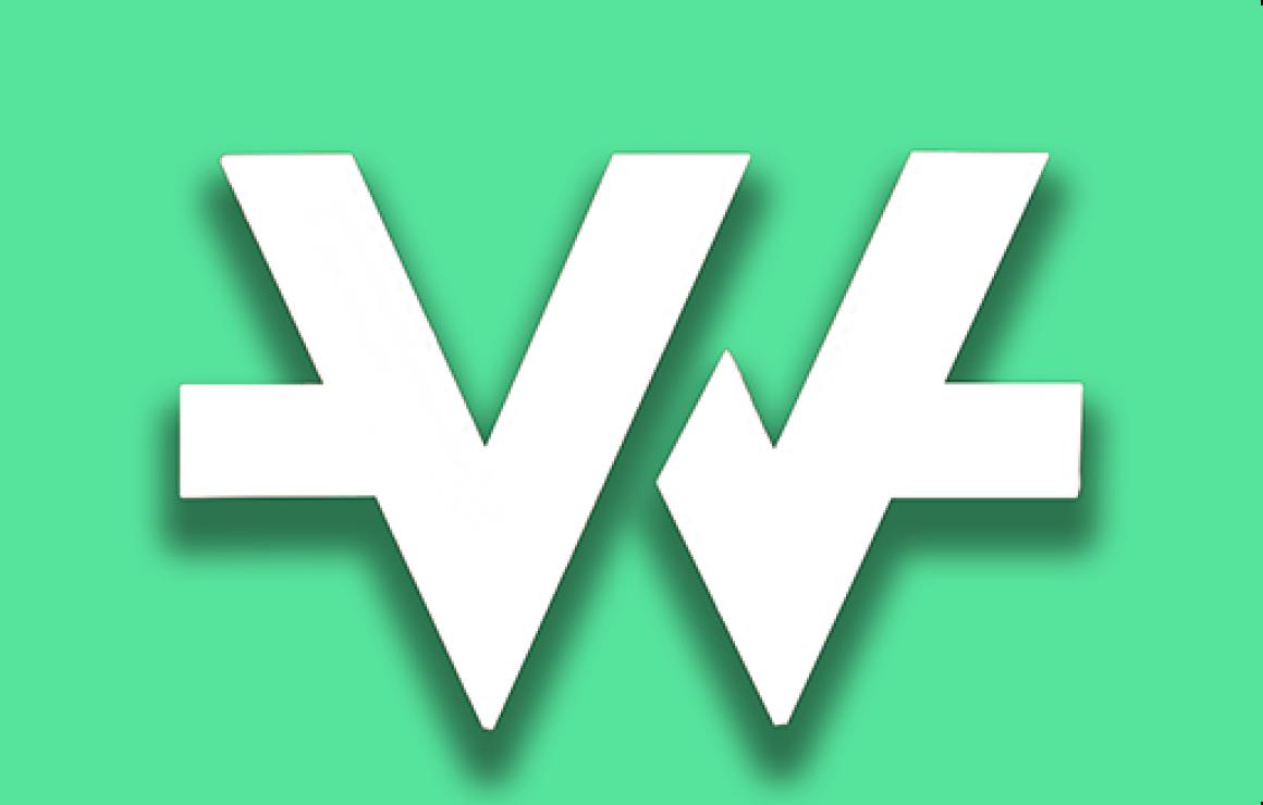 VegaWallet Token (VGW) custome