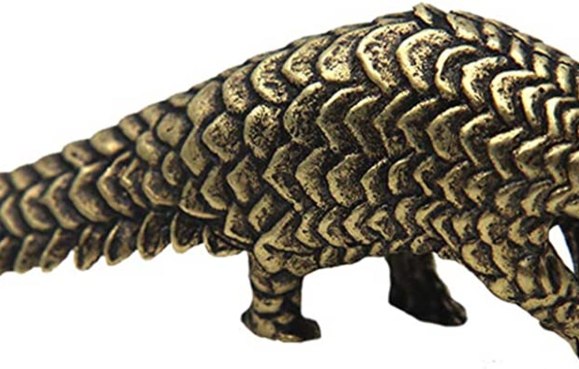 What is Pangolin?
The pangolin