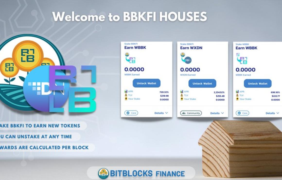 BitBlocks Finance (BBKFI) cust