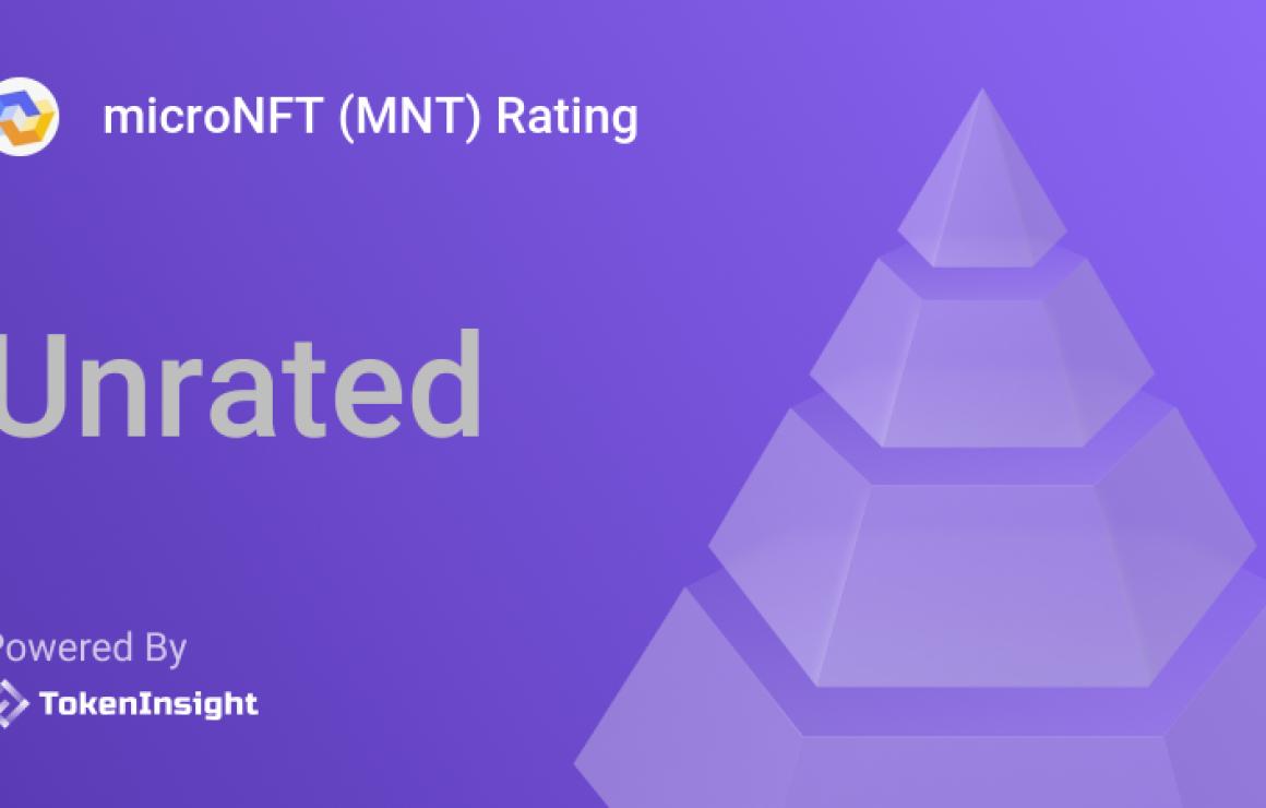 What is microNFT (MNT)?
MicroN