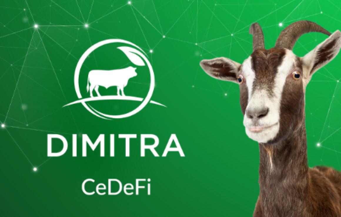 What is Dimitra (DMTR)?
Dimitr