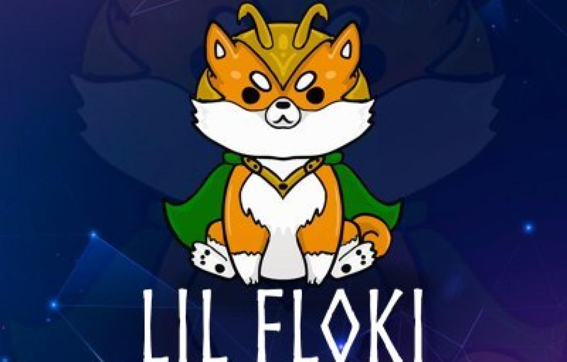 Lil Floki (LILFLOKI) headquart
