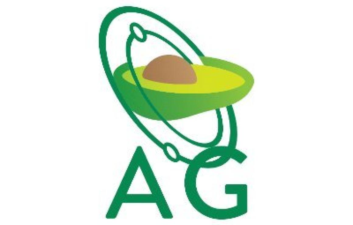 What is Avocado DAO Token (AVG
