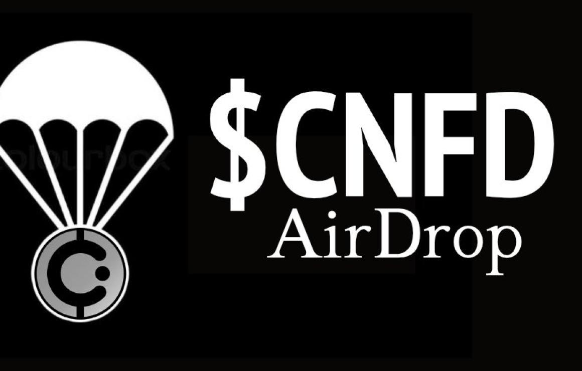 Connect Financial (CNFI) custo