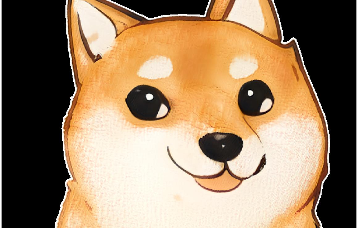 What is The Doge NFT (DOG)?
Th