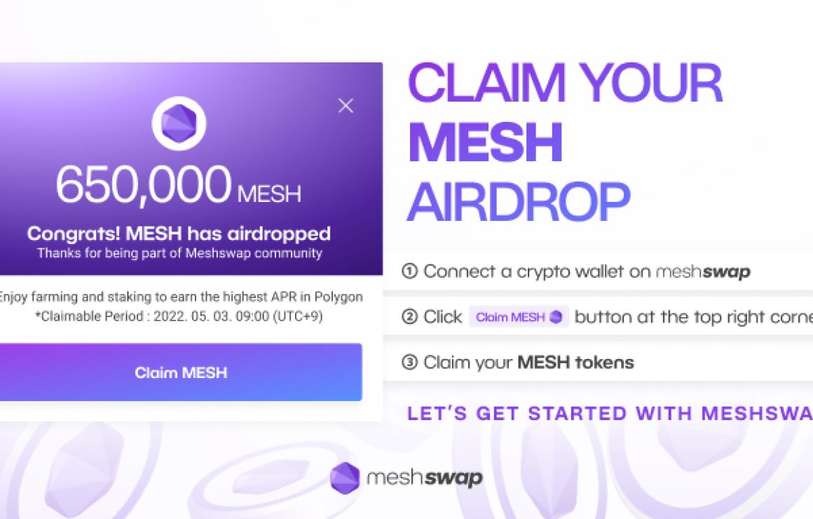 What is Meshswap Protocol (MES