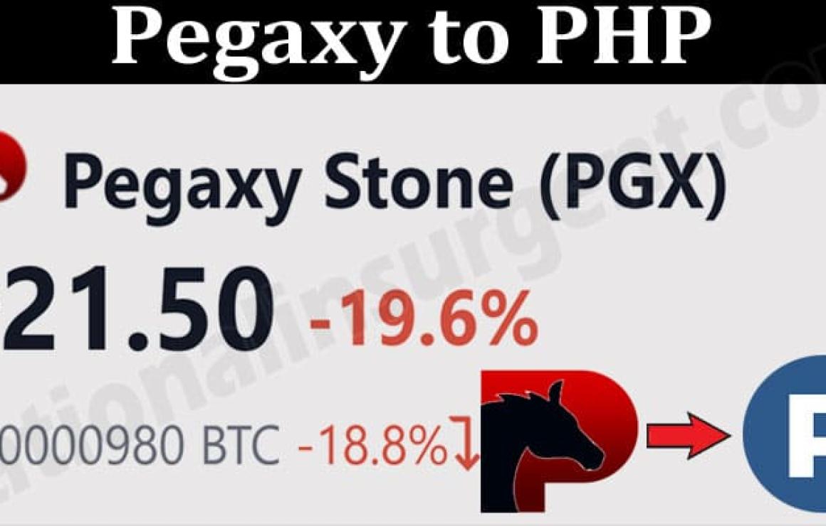 Pegaxy (PGX) headquarters.
Peg